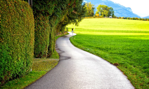 élagage sur route
